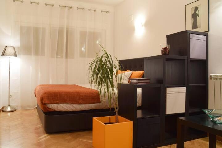 Estudio Acogedor Y Luminoso Lejlighed Madrid Eksteriør billede